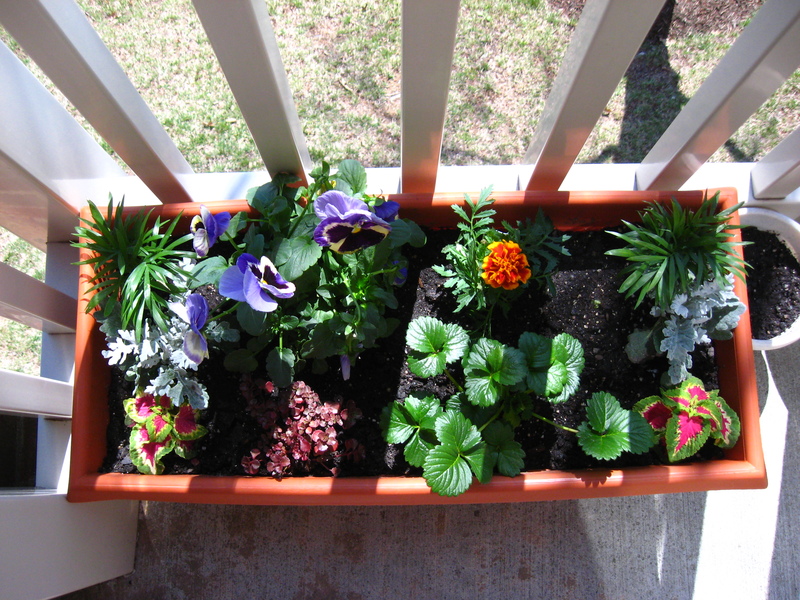 Apartment Balcony Gardening